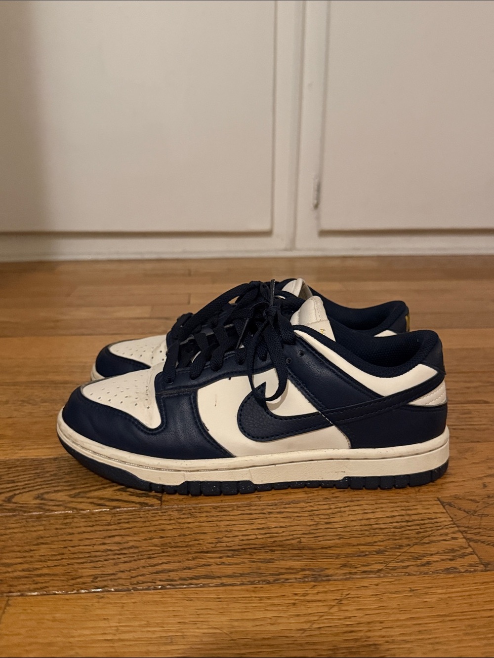 Navy Nike dunks